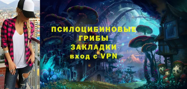 дурь Верея