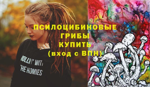 дурь Верея