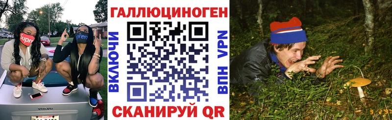 Псилоцибиновые грибы Psilocybine cubensis  Купить закладки  Похвистнево 